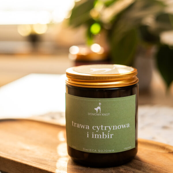 Trawa Cytrynowa i Imbir Świeca Sojowa 250ml