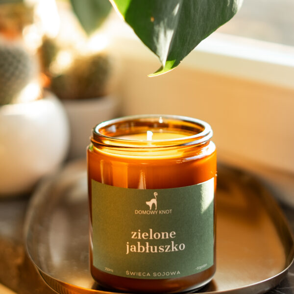 Zielone Jabłuszko Świeca Sojowa 250ml