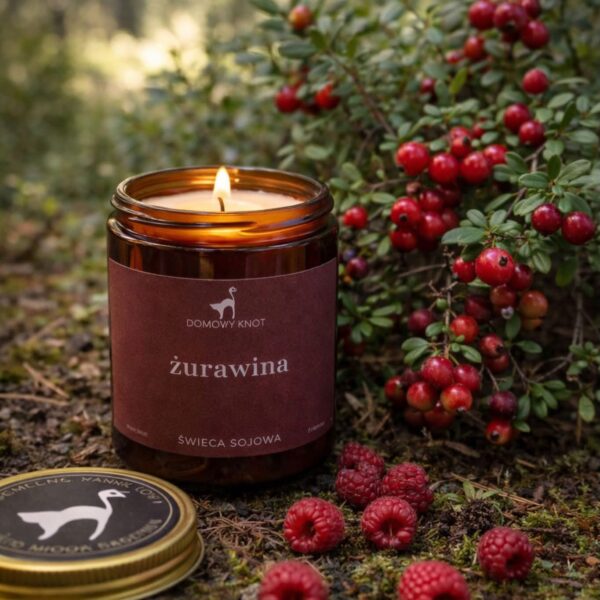 Żurawina Świeca Sojowa 250ml